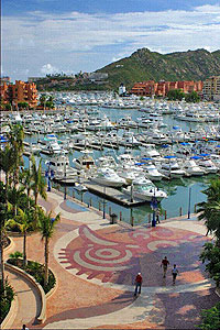 Cabo San Lucas Marina