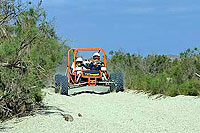 Baja Buggies ATX Rails Tour Cabo