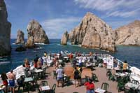 Deluxe Whale Watching in Cabo