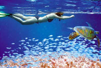 Snorkeling at Santa Maria Beach, Los Cabos