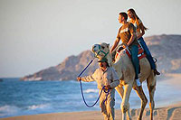 Camel Riding Tour Cabo San Lucas
