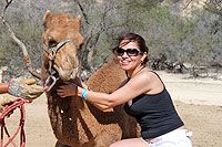 Camel Quest Cabo San Lucas Mexico