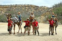 Camel Riding Tour Cabo San Lucas Mexico