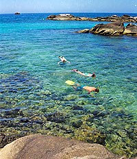 Cabo San Lucas Snorkeling