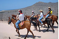 Horseback Riding Tour Cabo