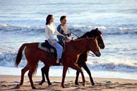 Cabo San Lucas Horseback Riding