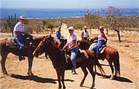 Horseback Riding Cabo
