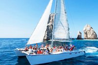 Whale Watching Catamaran Cabo