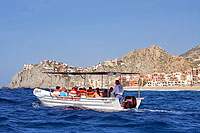 Glass Bottom Boat