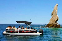 Cabo Whale Watching Excursion