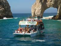 cruise jungle cabo booze tour lucas san reggae snorkeling tours whale snorkel watching season night cabosanlucastours