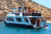 Cabo San Lucas Private Tour Charter