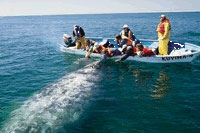 Magdalena Bay Whale Sanctuary