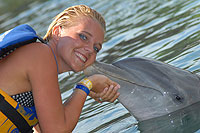 Dolphin All Inclusive Cabo