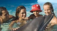 Dolphin Encounter in Cabo San Lucas