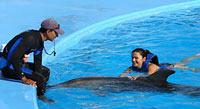Dolphin Trainer Cabo