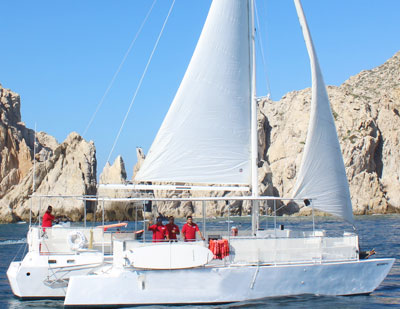 Whale Watching Catamaran Cabo