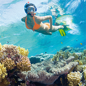 Snorkeling Tours in Los Cabos