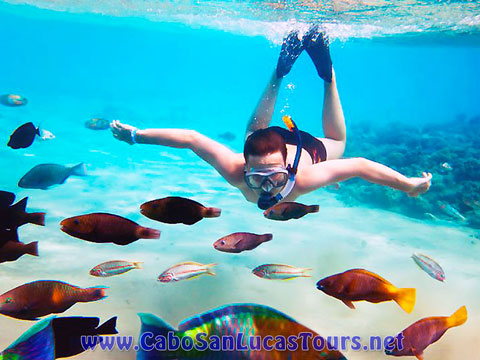 Private Snorkeling Charter