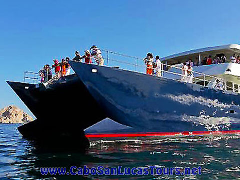 Private Snorkeling Cruise Cabo