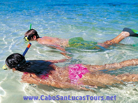 Private Snorkeling Cruise Cabo