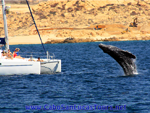 Private Sunset Sailing Cabo