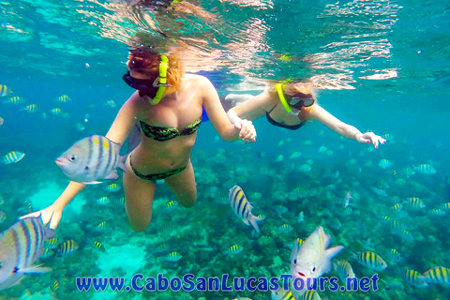 Snorkel on Coral Reefs