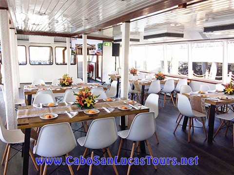 Private Event Catamaran Cabo San Lucas