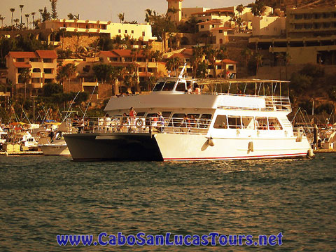 Sunset Sailing Cabo