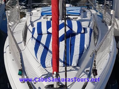 28-feet Sailing Catamaran Cabo