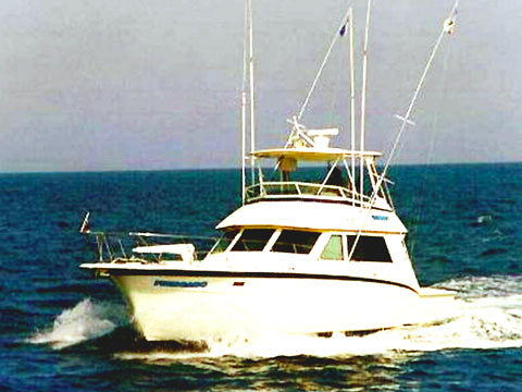 42' Cruise Charter