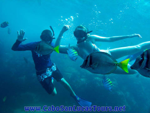 Private Sunset Snorkeling Tour