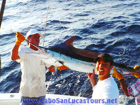 Marlin Fishing Cabo