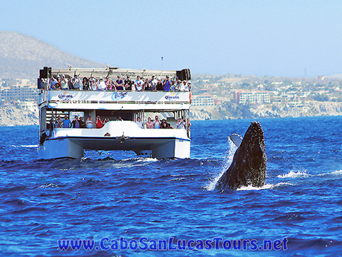 Private Event Catamaran Cabo San Lucas